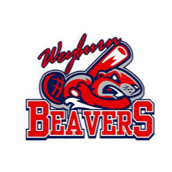 Weyburn Beavers